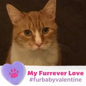 Meet your Posher, Margaret